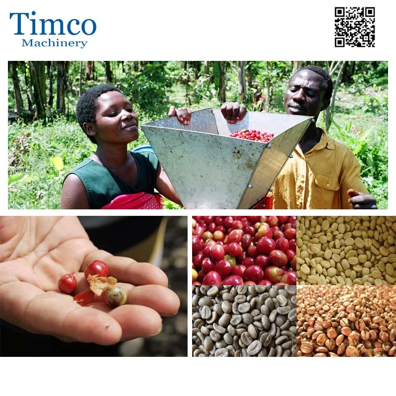 Coffee beans shelling machine (6)