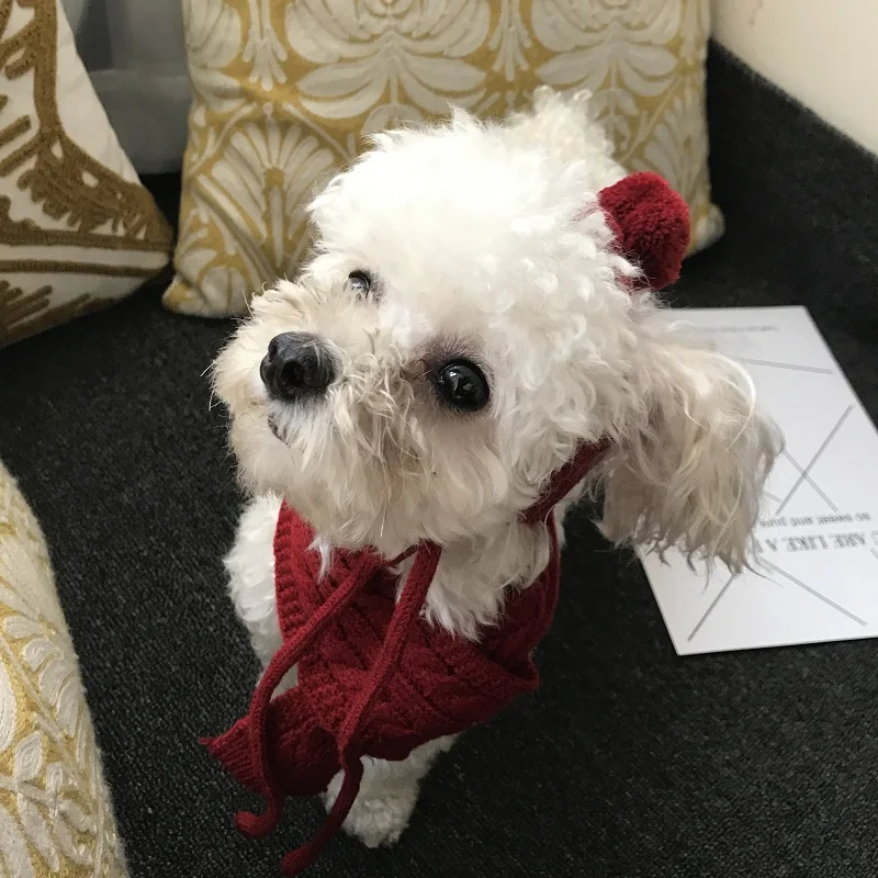 CHEEPET теплый зимний шарф со шляпой шерсть аксессуары для собак модные комплекты для домашних животных