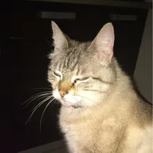h***h