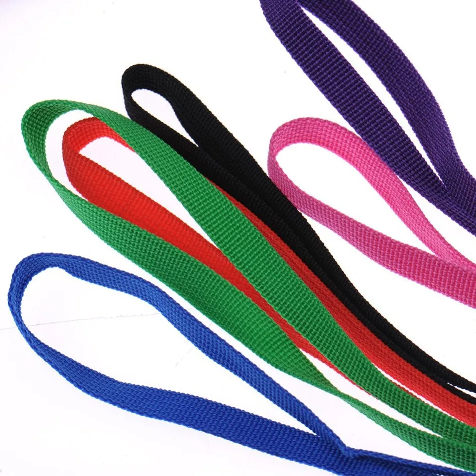 nylon dog collar