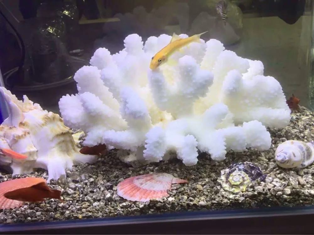 White Coral Sculpture Home Decor Stylish Decorative Accent Coral Flower Sea Beach Decoration Statues White Coral Sculpture Home Decor Stylish Decorative Accent Coral Flower Sea Beach Decoration Statues