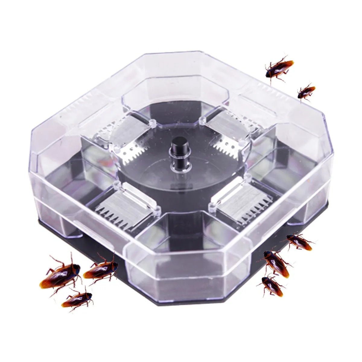 Roach için kara yemi. Roach yakalamak özellikleri Roach için kara yemi. Roach yakalamak özellikleri