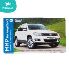 Мир на ладошке Умница ИЗВЕСТНЫЕ МАРКИ МАШИН