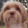 S***e