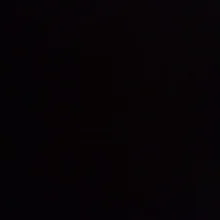 L***L
