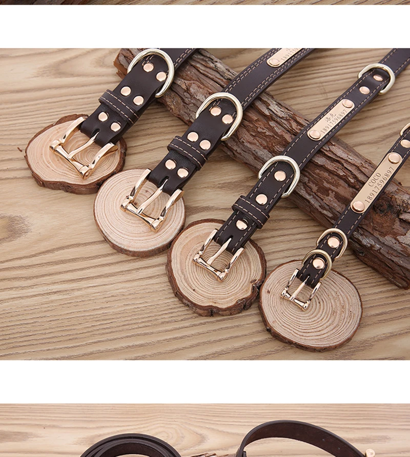 Collar (15)