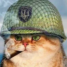 R***n