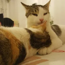 M***u