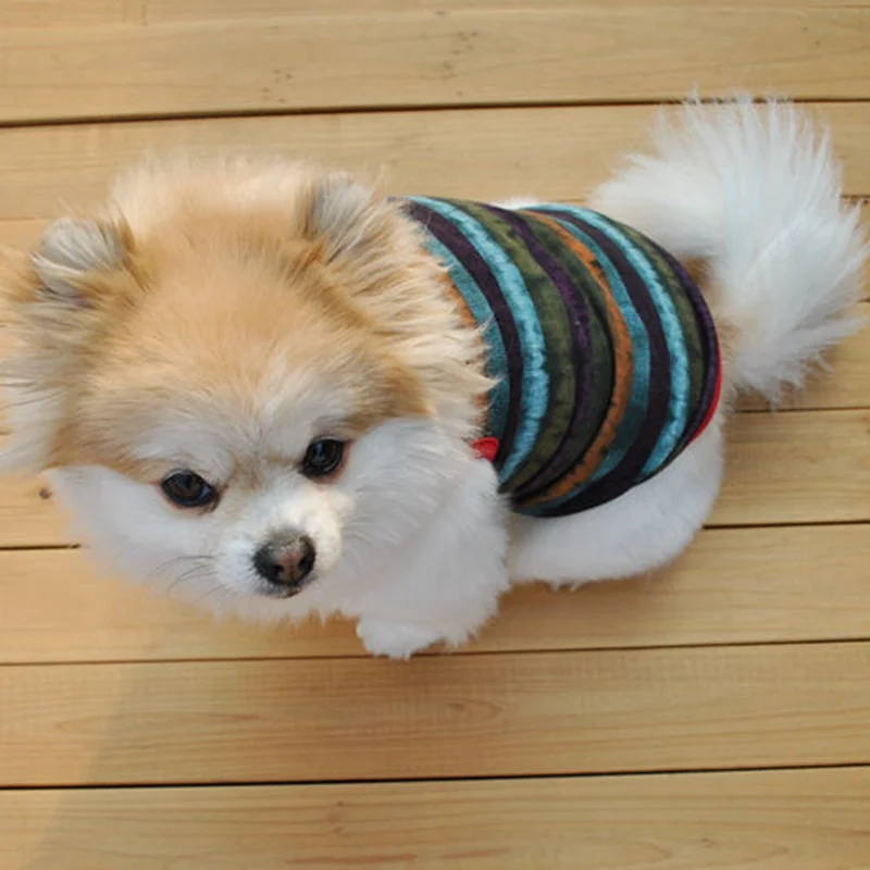 vestiti cane