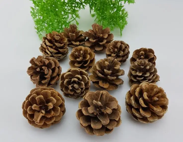 50 шт. Рождественское украшение сосновые шишки Pinecone Новогоднее для вечеринки