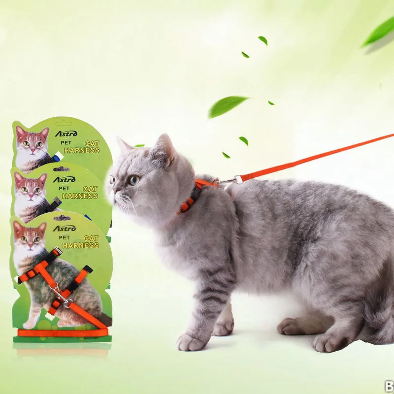 TB2PUrryuSSBuNjy0FlXXbBpVXa_!!3592762901