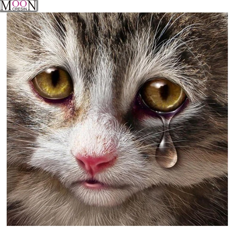 

5D DIY Diamond Painting Teared Cat Full Square Rhinestone Picture Embroidery Sale Diamond Mosaic Cross Stitch Decor Home Animal