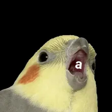 T***v