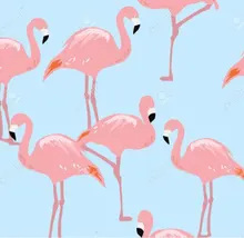 s***i