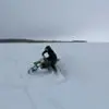 G***r