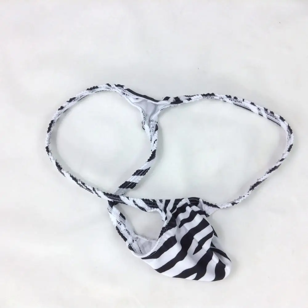 G4034-zebra-BW-3