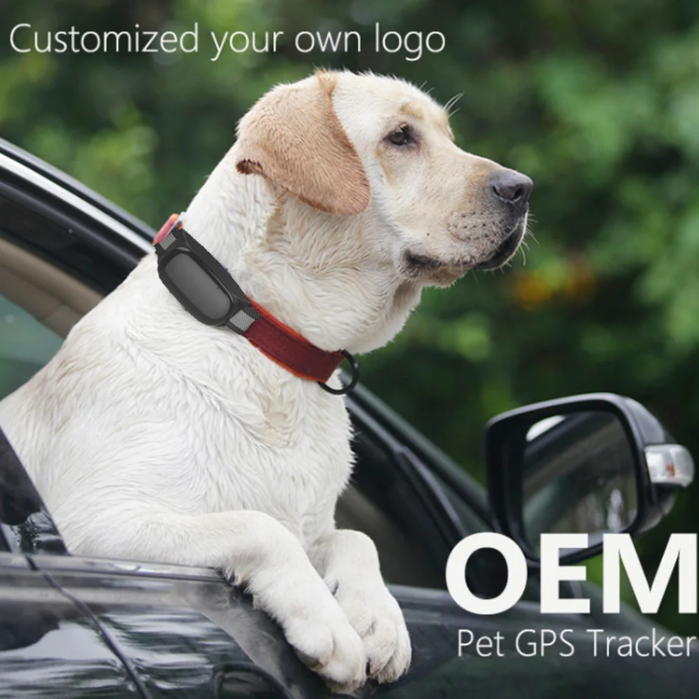 

waterproof dog pet collar key chain GPS Tracker GPS AGPS LBS Loaction Pets Cats mini pet tracking On google Map Free App