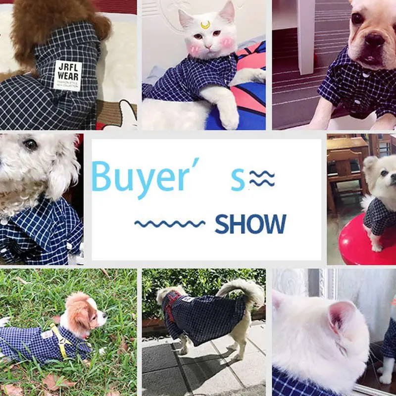 korean dog clothes