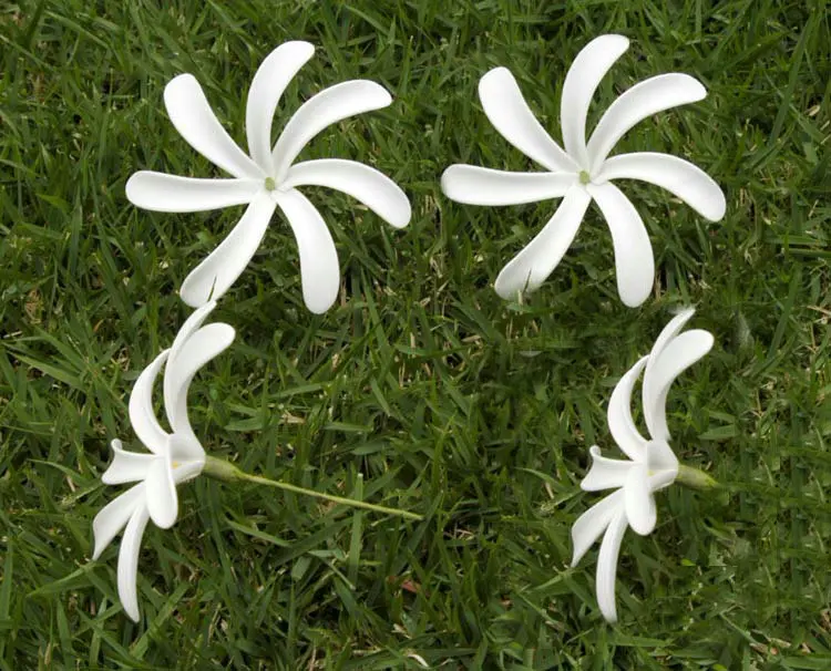 F001