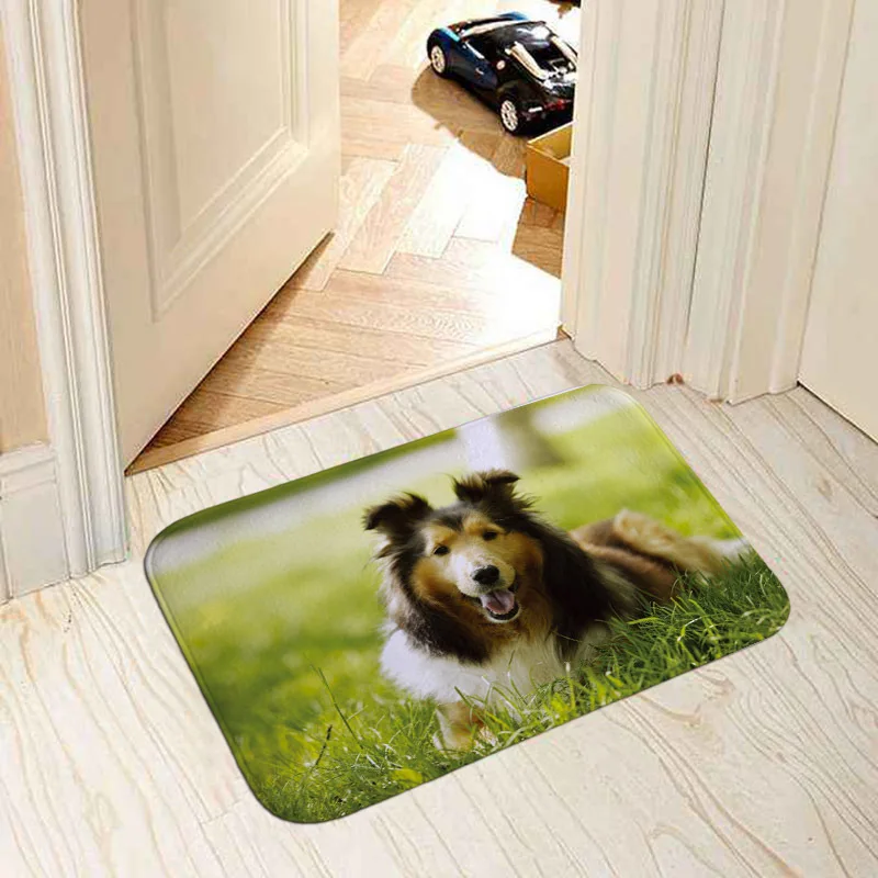 Modern home decorative door mat popular dogs pug/border collie/bull terrier/French bulldog photo print 40x60cm floor mat carpet