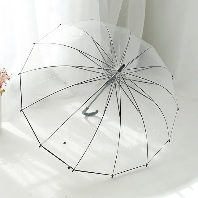 Buy Transparent Umbrellas Girls Rain Woman Umbrellas