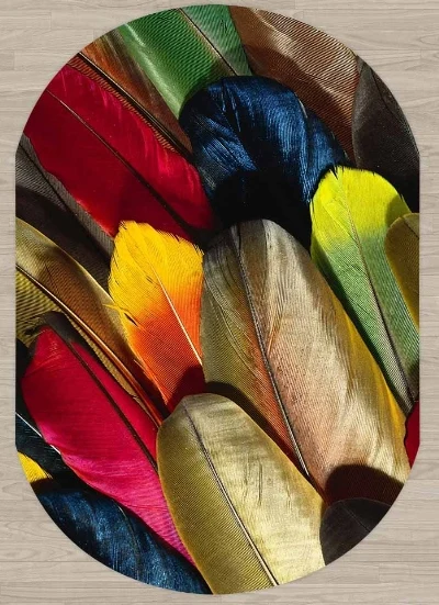 Else, коричневый, красный, зеленый, синий, птицы, перо, 3d Рисунок, принт, не скользит, микрофибра, для гостиной, современный, овальный, моющийся ковер, ковер