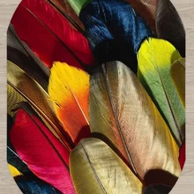 Else, коричневый, красный, зеленый, синий, птицы, перо, 3d Рисунок, принт, не скользит, микрофибра, для гостиной, современный, овальный, моющийся ковер, ковер