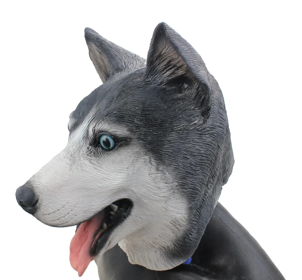Siberian Husky (2)