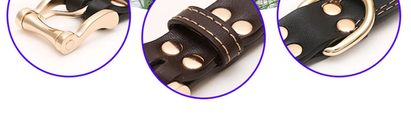 Collar (3)