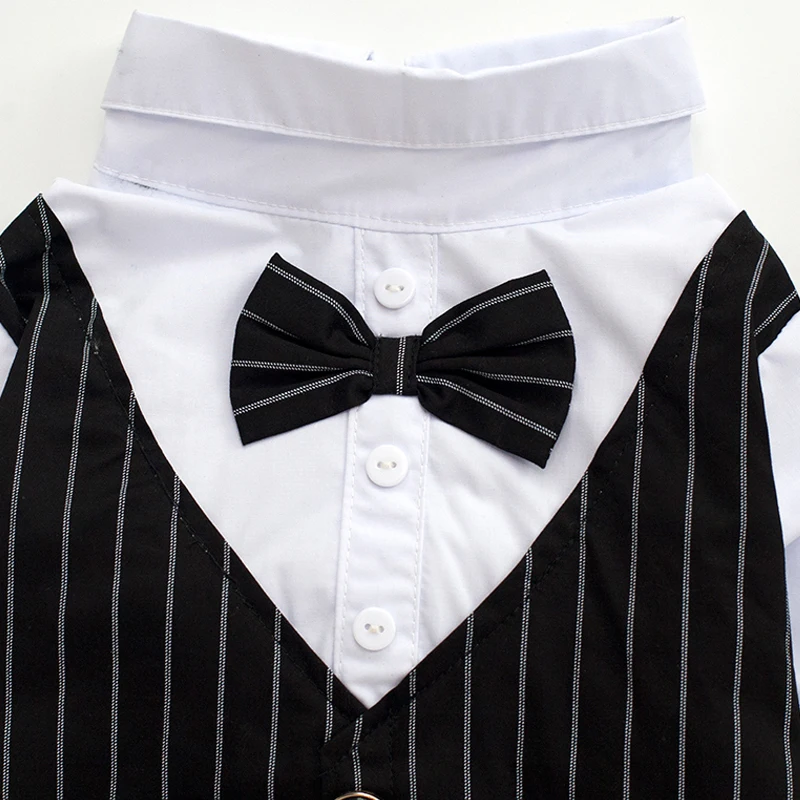 Swallow Tail Dog Suit07