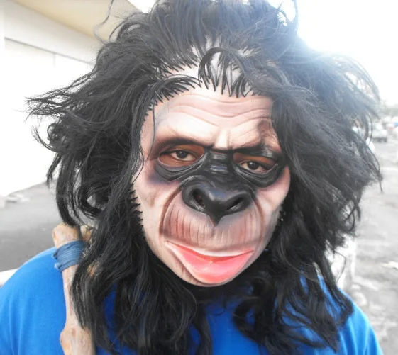 

Chimp Mask Monkey Chimpanzee Animal Full Overhead Mask Fun Halloween Face Furry