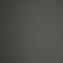 D***L