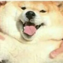 W***.