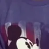 v***v