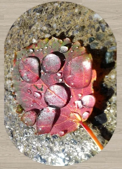 Else камень розовый красный лист капли воды цветочный 3d узор принт Нескользящая микрофибра гостиная современный Овальный моющийся ковер