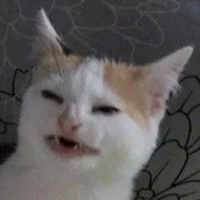 S***v