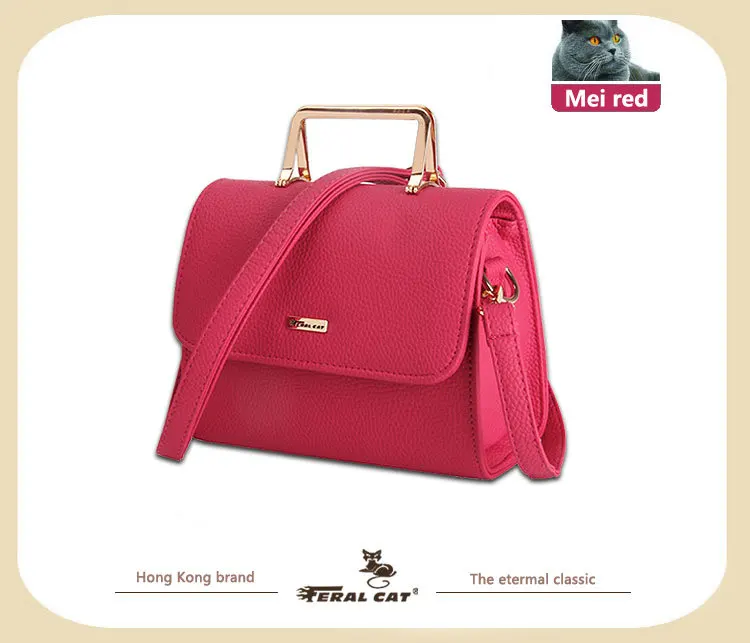 FERAL CAT Fashion Handbag 2017 Women Leather Handbags Luxury Bags Designer High Quality94