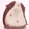 A***y