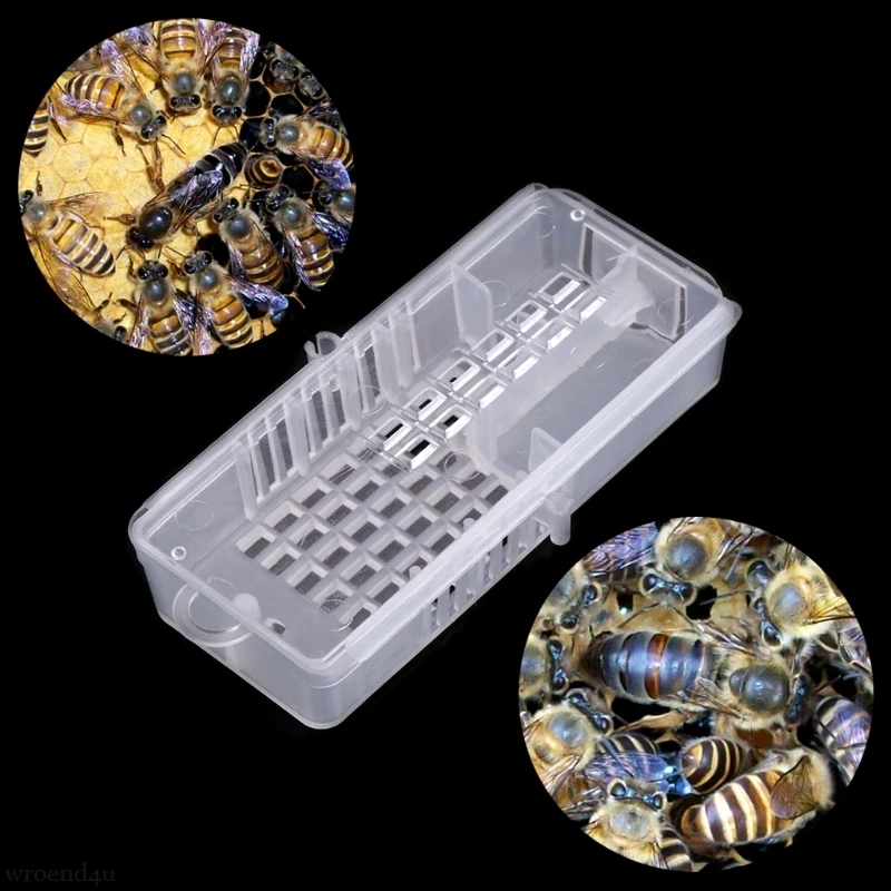 

Bee Box Honey Beekeeping Plastic Hive Cage Catching Tool Moving Equipment Match