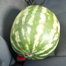 A***K