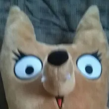 I***E