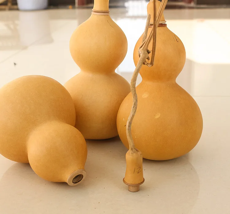 японская тыквенная бутыль. тыквенная бутылка. китайская тыква бутыль. китайская тыква бутыль. тыква бутылочка.