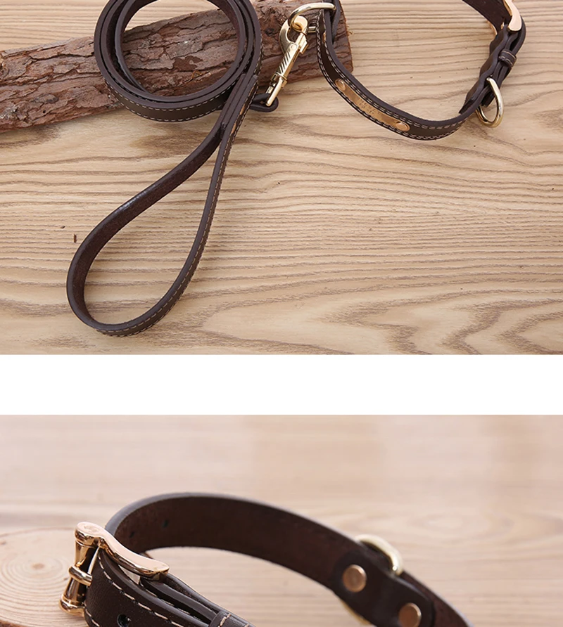 Collar (16)