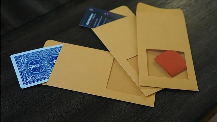 DP SWITCHING ENVELOPE by Paul Romhany 5