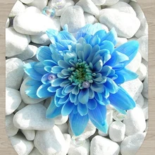 Else белый Галька Камни на синие цветы цветочный 3d принт нескользящие микрофибры гостиная современный Овальный моющийся ковер