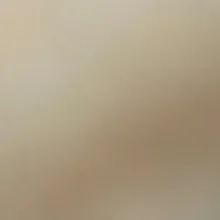 v***o