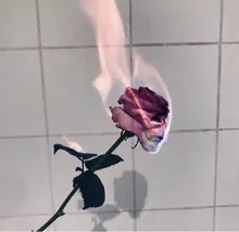 N***n