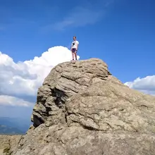 D***h