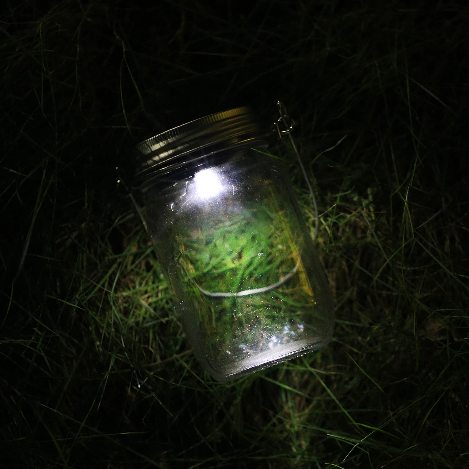 3 упаковки светодиодные крышки для стеклянных банок Kohree|solar mason jar lids|led jarsolar |