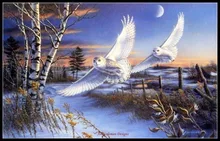 Bordado Contados Kits de Ponto de Cruz Needlework-Artesanato 14 ct DMC Cor Artes DIY Handmade Decoração-Crescendo